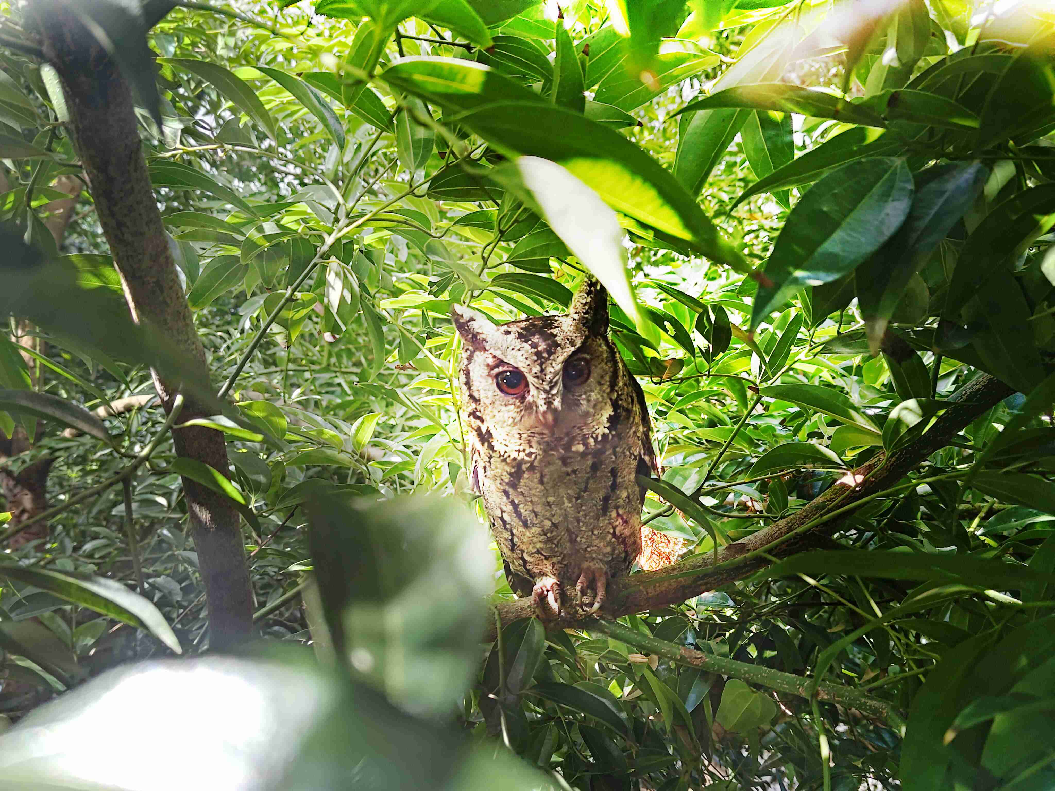 优游UB8致力提倡净零绿生活，，，，16年以来在全球各厂区植树逾百万棵，，造就各厂区树木蔚然成林，，犹如森林工厂，，，成为许多生物的栖息地